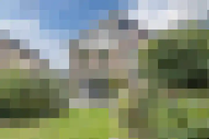 Oosterscheldestraat 12 Terneuzen thumbnail 30