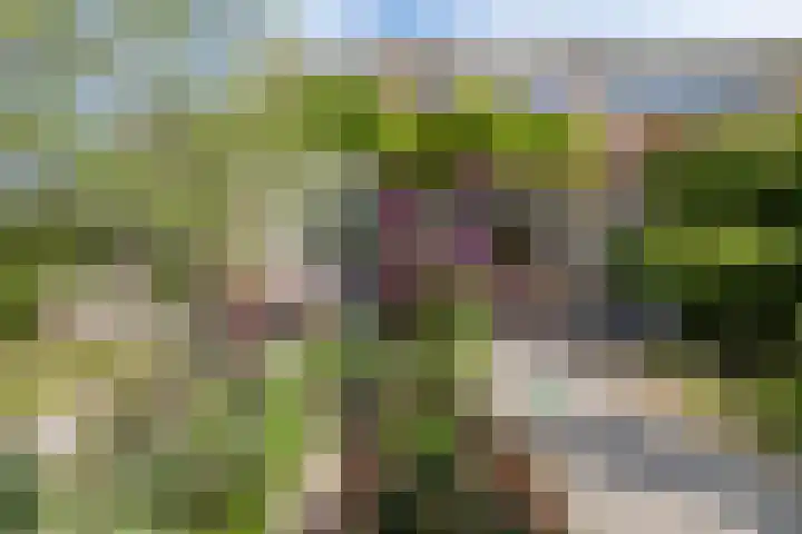 Oosterscheldestraat 2 Middelburg thumbnail 33