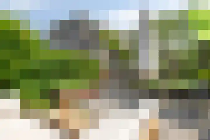 Oosterscheldestraat 2 Middelburg thumbnail 35