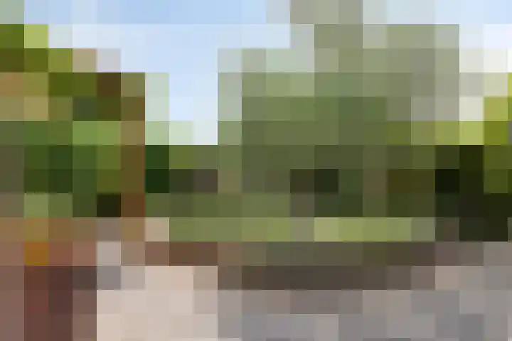 Oosterscheldestraat 2 Middelburg thumbnail 37