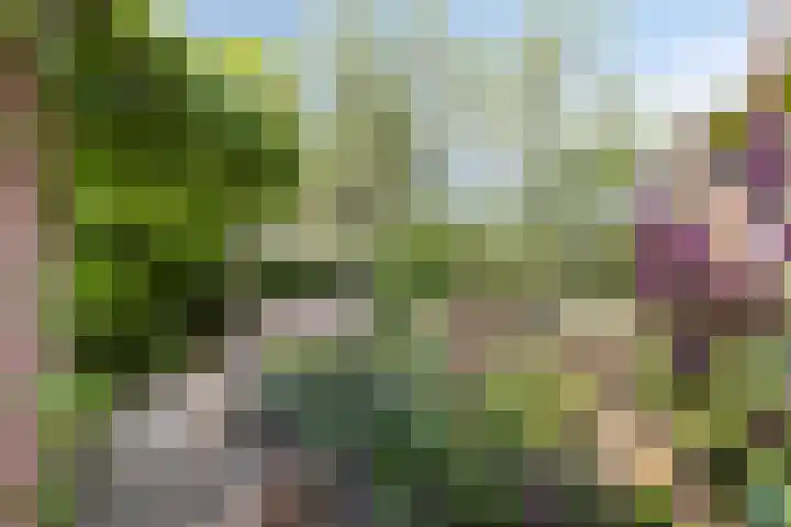 Oosterscheldestraat 2 Middelburg thumbnail 38