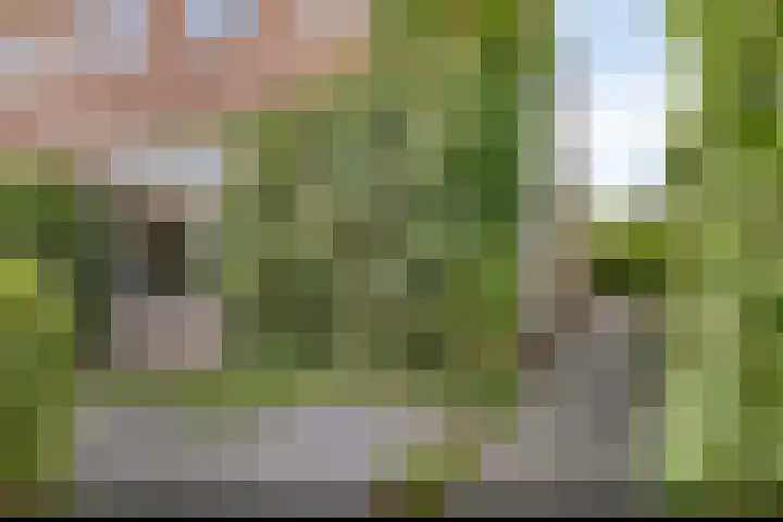 Oosterscheldestraat 2 Middelburg thumbnail 39