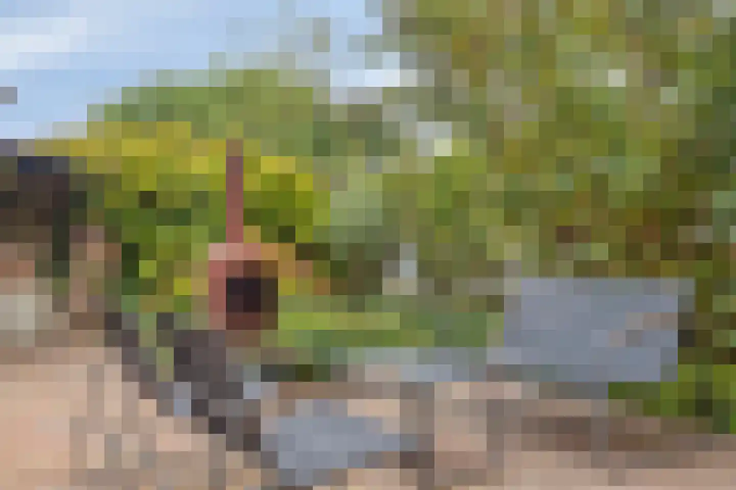 Oosterscheldestraat 76 Wemeldinge thumbnail 4