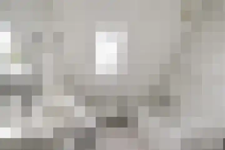 Oosterscheldestraat 8 Wissenkerke thumbnail 18