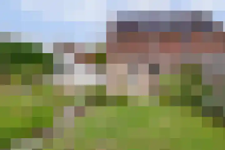 Oosterscheldestraat 8 Wissenkerke thumbnail 25