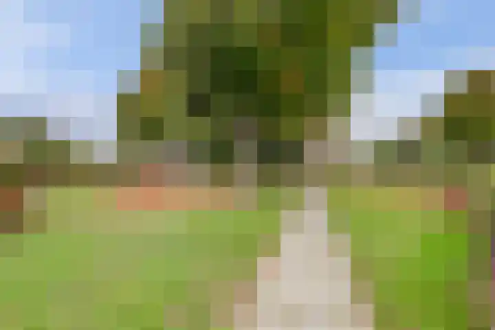 Oosterscheldestraat 8 Wissenkerke thumbnail 27