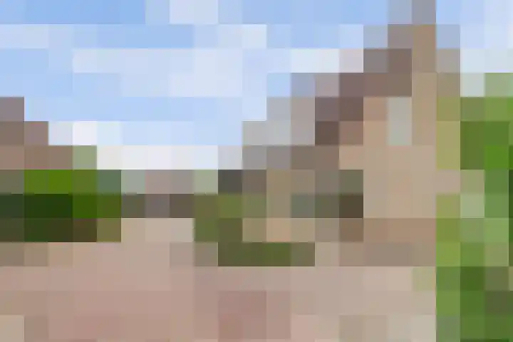 Oosterscheldestraat 8 Wissenkerke thumbnail 4