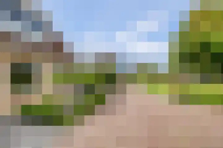 Oosterscheldestraat 8 Wissenkerke thumbnail 5
