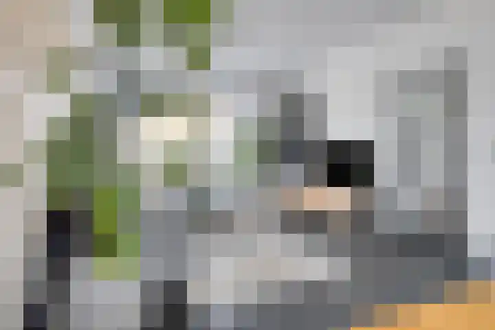 Oosterscheldestraat 86 Terneuzen thumbnail 14