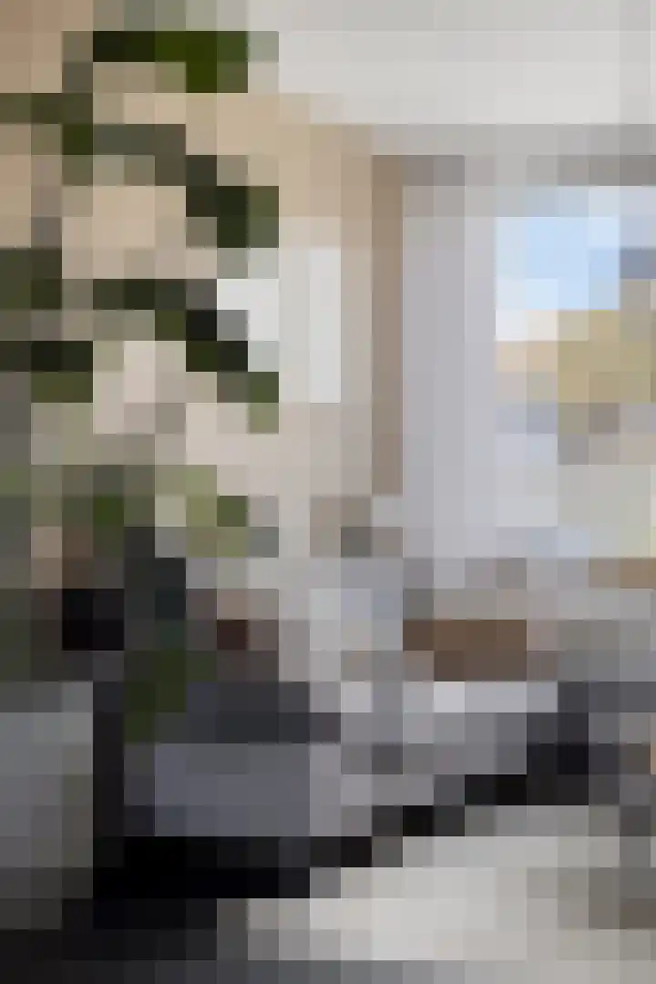 Oosterscheldestraat 86 Terneuzen thumbnail 17