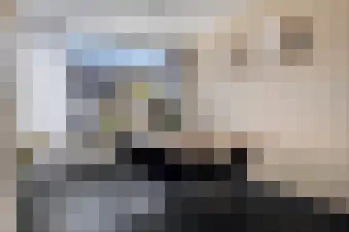 Oosterscheldestraat 86 Terneuzen thumbnail 19