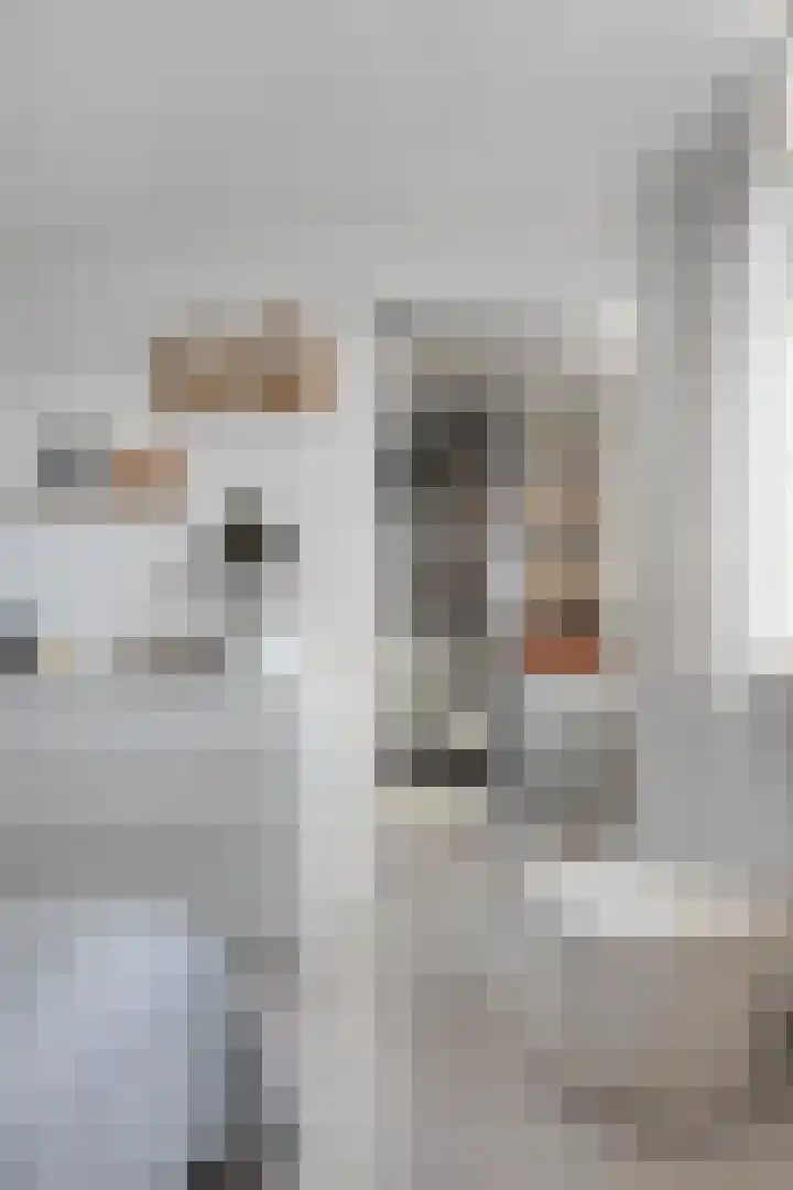 Oosterscheldestraat 86 Terneuzen thumbnail 32