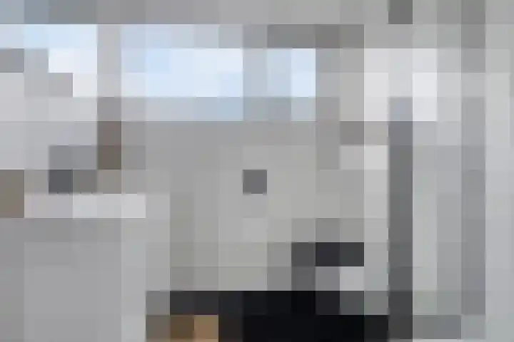Oosterscheldestraat 86 Terneuzen thumbnail 36