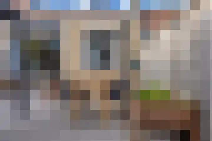 Oosterscheldestraat 86 Terneuzen thumbnail 46