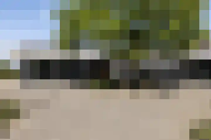 Oosterschie 1 002 Oldemarkt