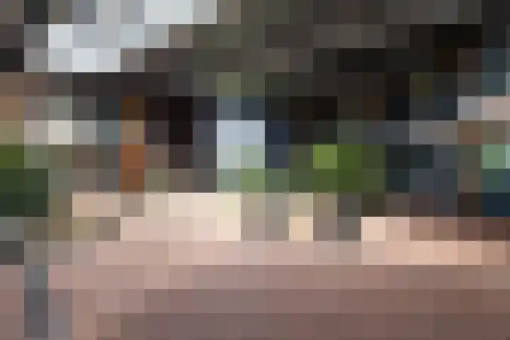 Oosterschie 1 002 Oldemarkt thumbnail 4