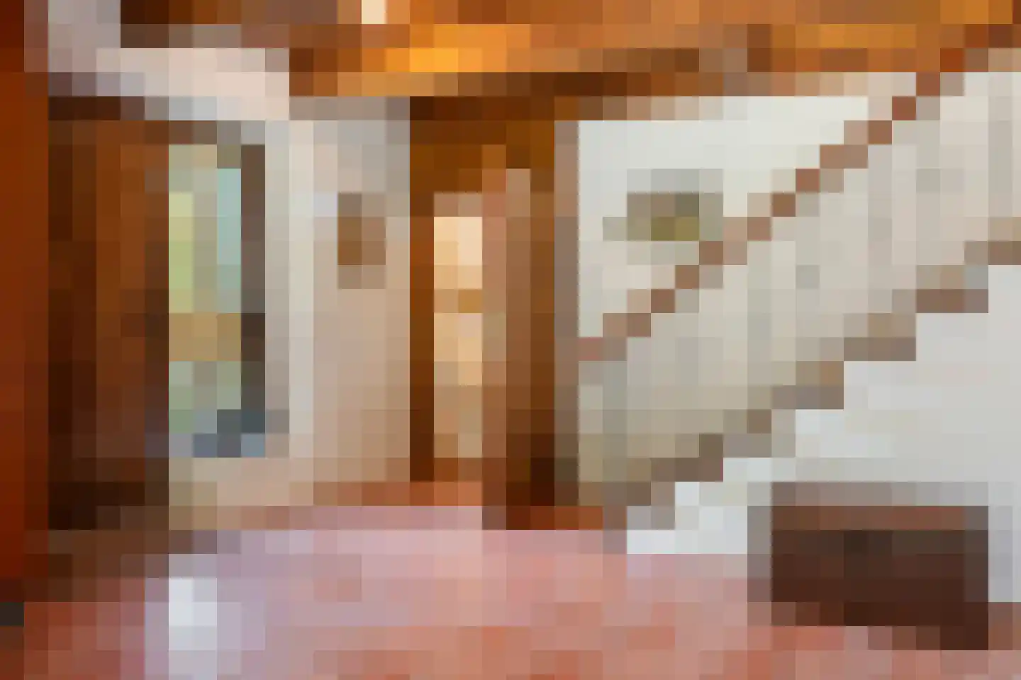 Oosterse Es 2 Appelscha thumbnail 10