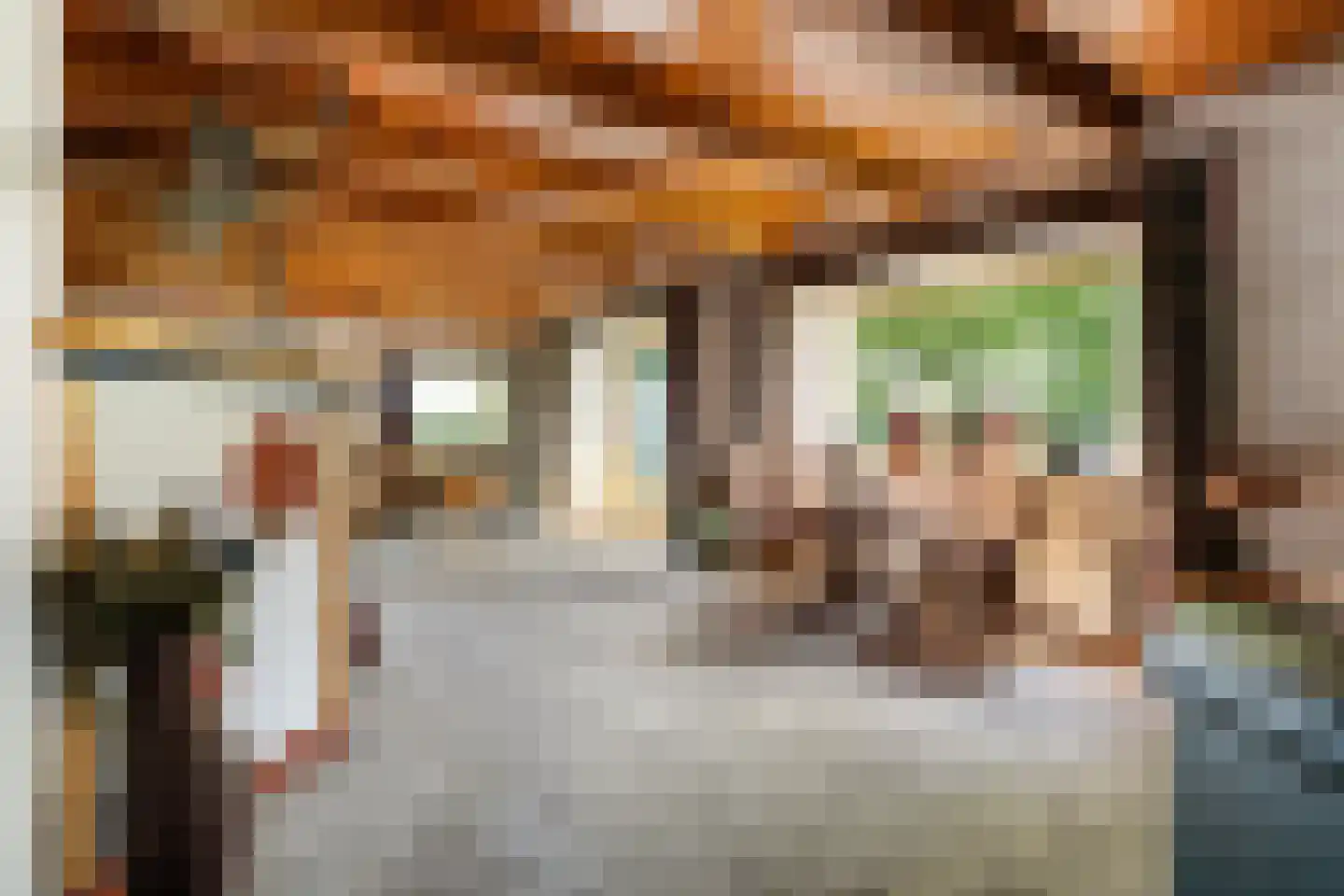 Oosterse Es 2 Appelscha thumbnail 12