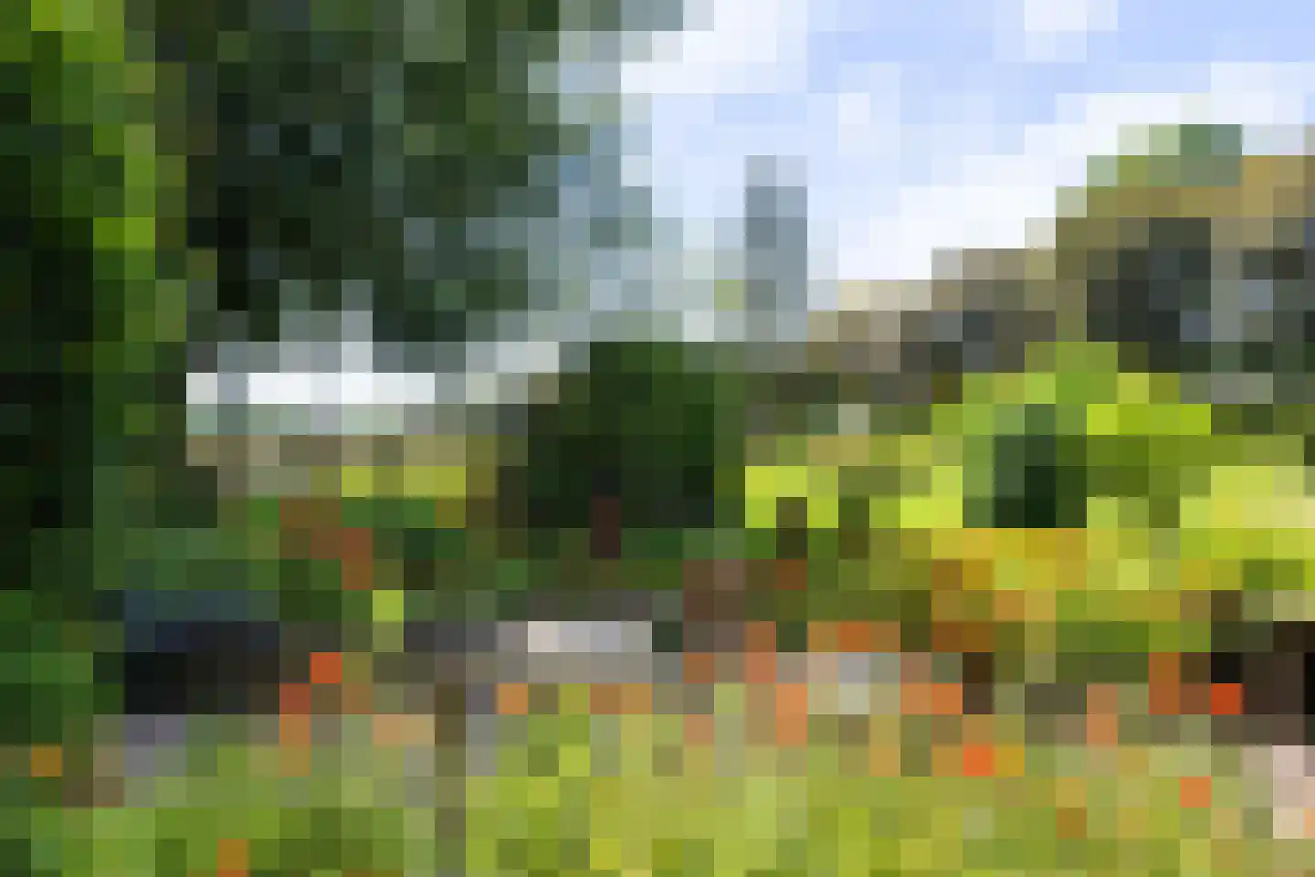 Oosterse Es 2 Appelscha thumbnail 17