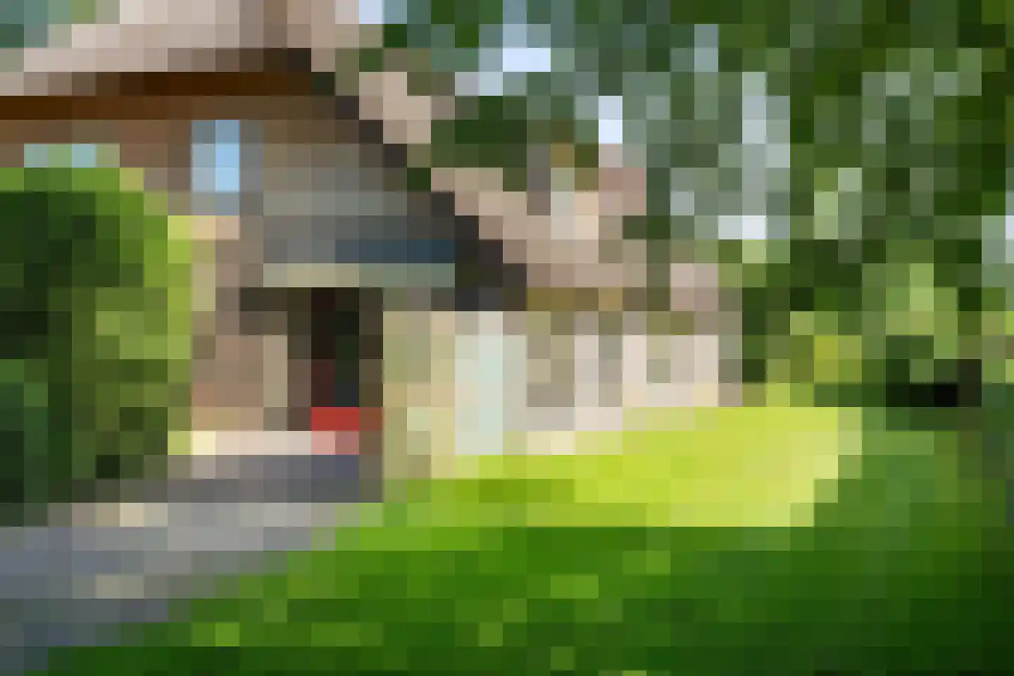 Oosterse Es 2 Appelscha thumbnail 19