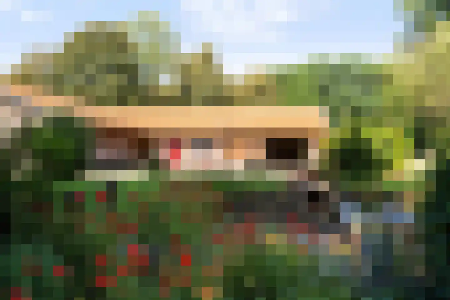 Oosterse Es 2 Appelscha foto 2