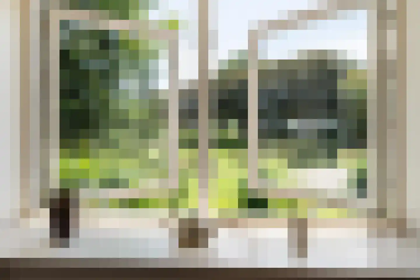 Oosterse Es 2 Appelscha thumbnail 38