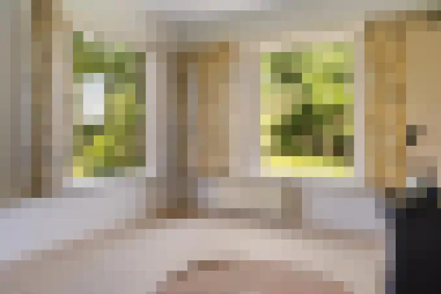 Oosterse Es 2 Appelscha thumbnail 43