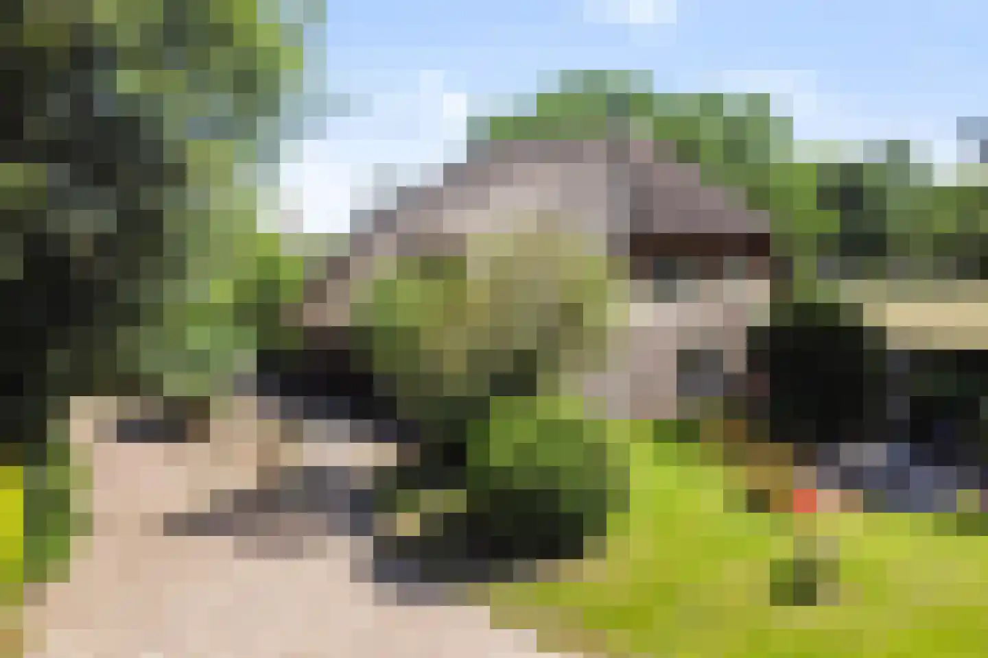 Oosterse Es 2 Appelscha thumbnail 48