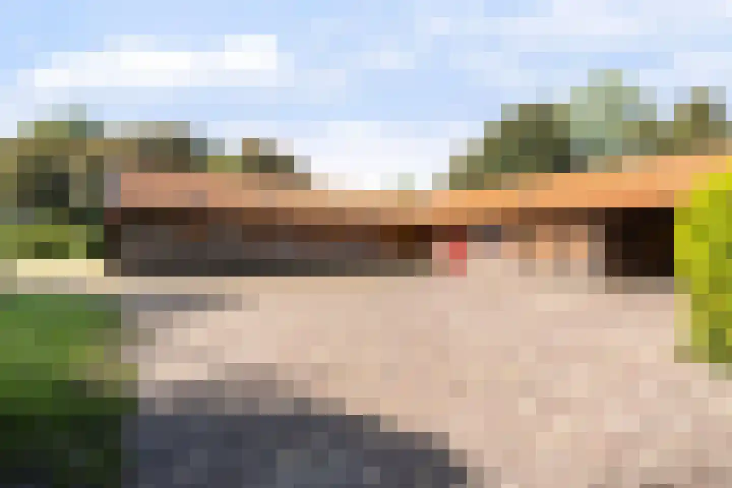 Oosterse Es 2 Appelscha thumbnail 49