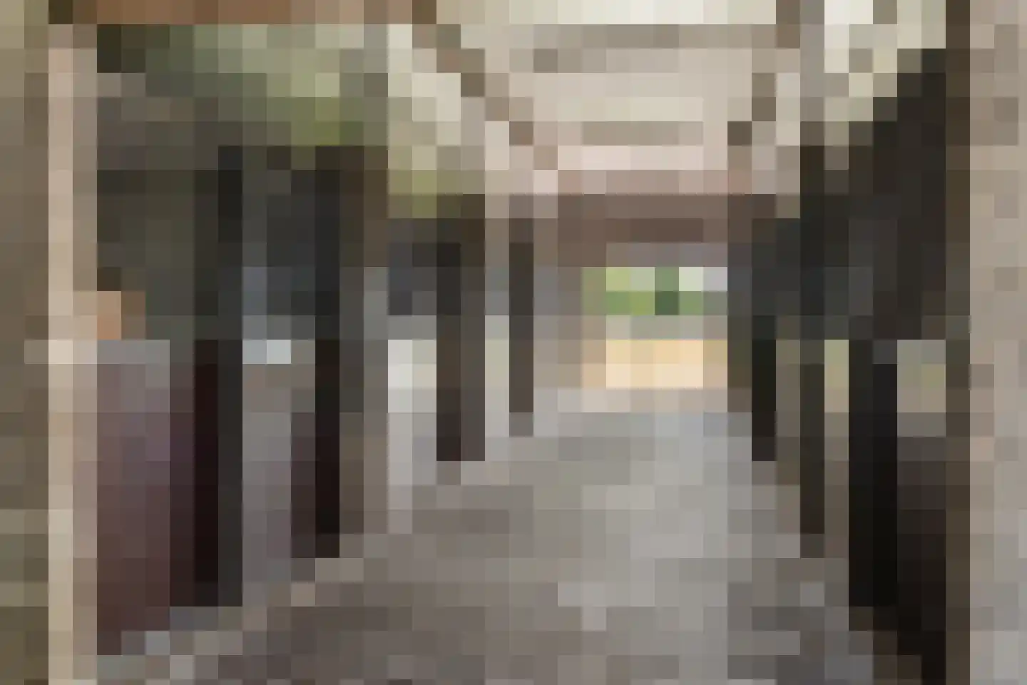 Oosterse Es 2 Appelscha thumbnail 50