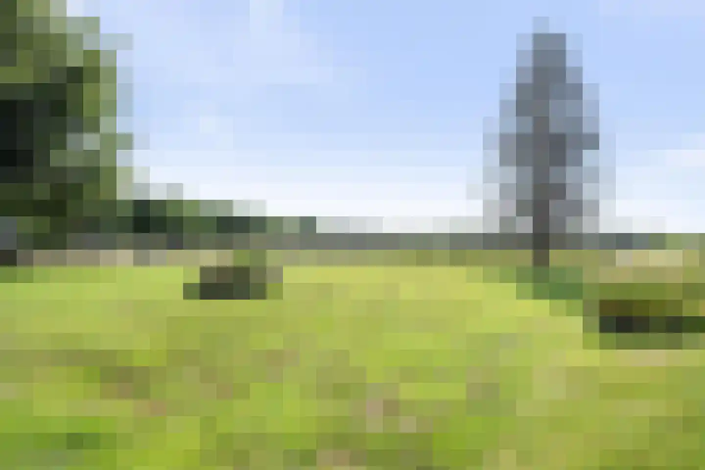 Oosterse Es 2 Appelscha thumbnail 52