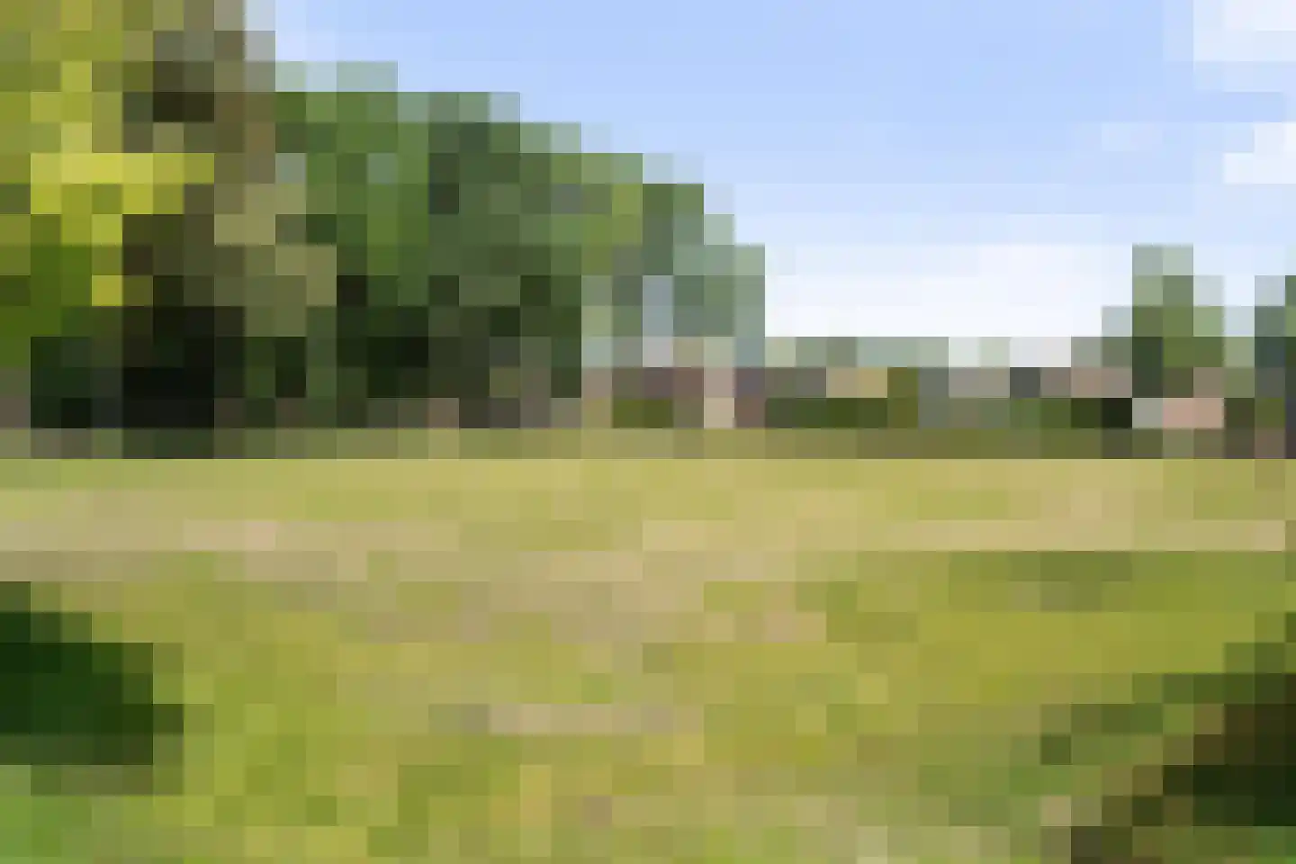 Oosterse Es 2 Appelscha thumbnail 53