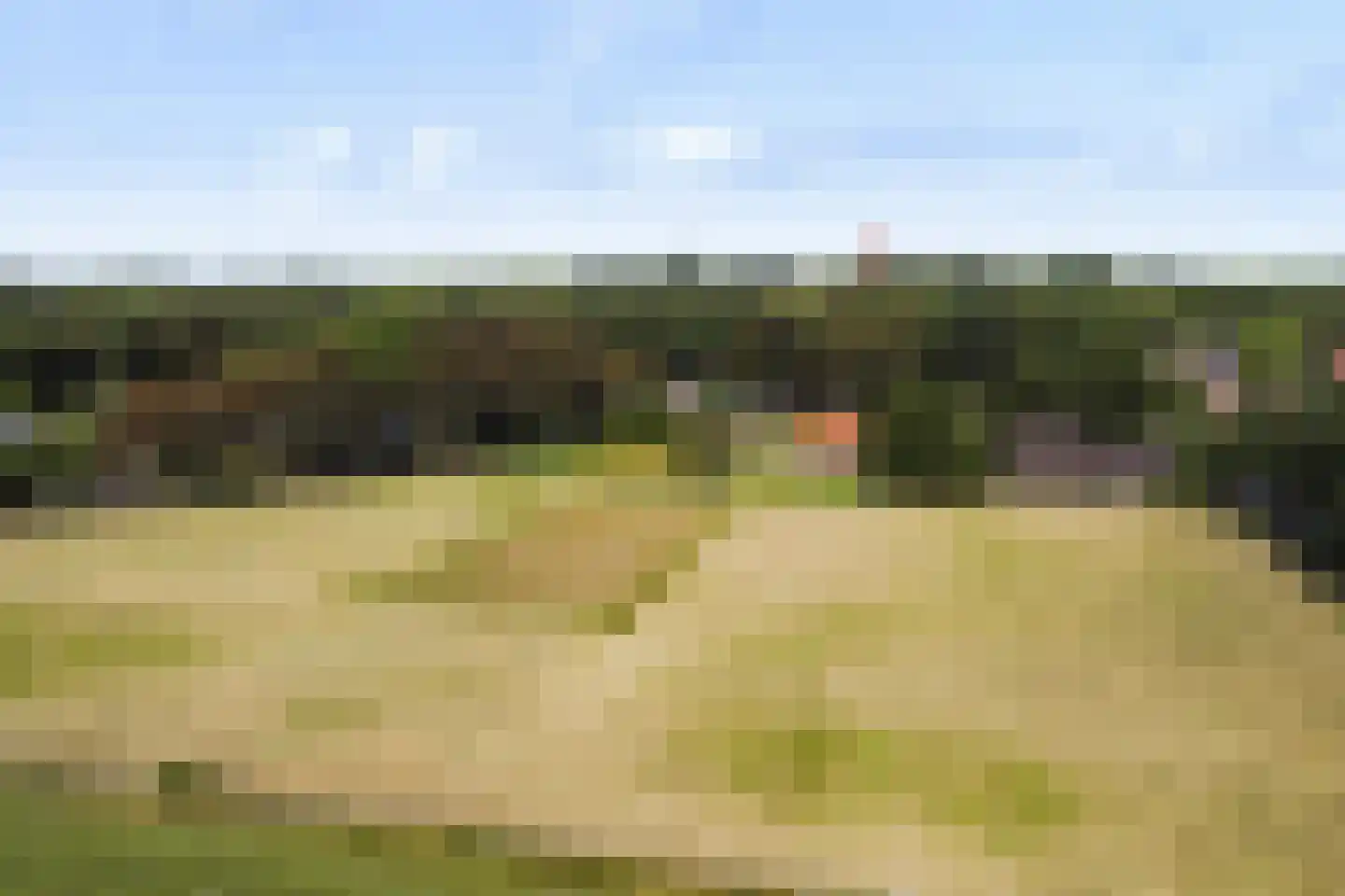 Oosterse Es 2 Appelscha thumbnail 56