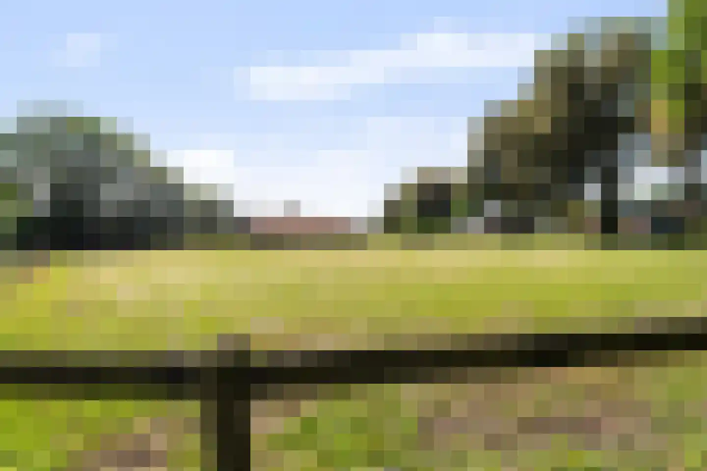 Oosterse Es 2 Appelscha thumbnail 57
