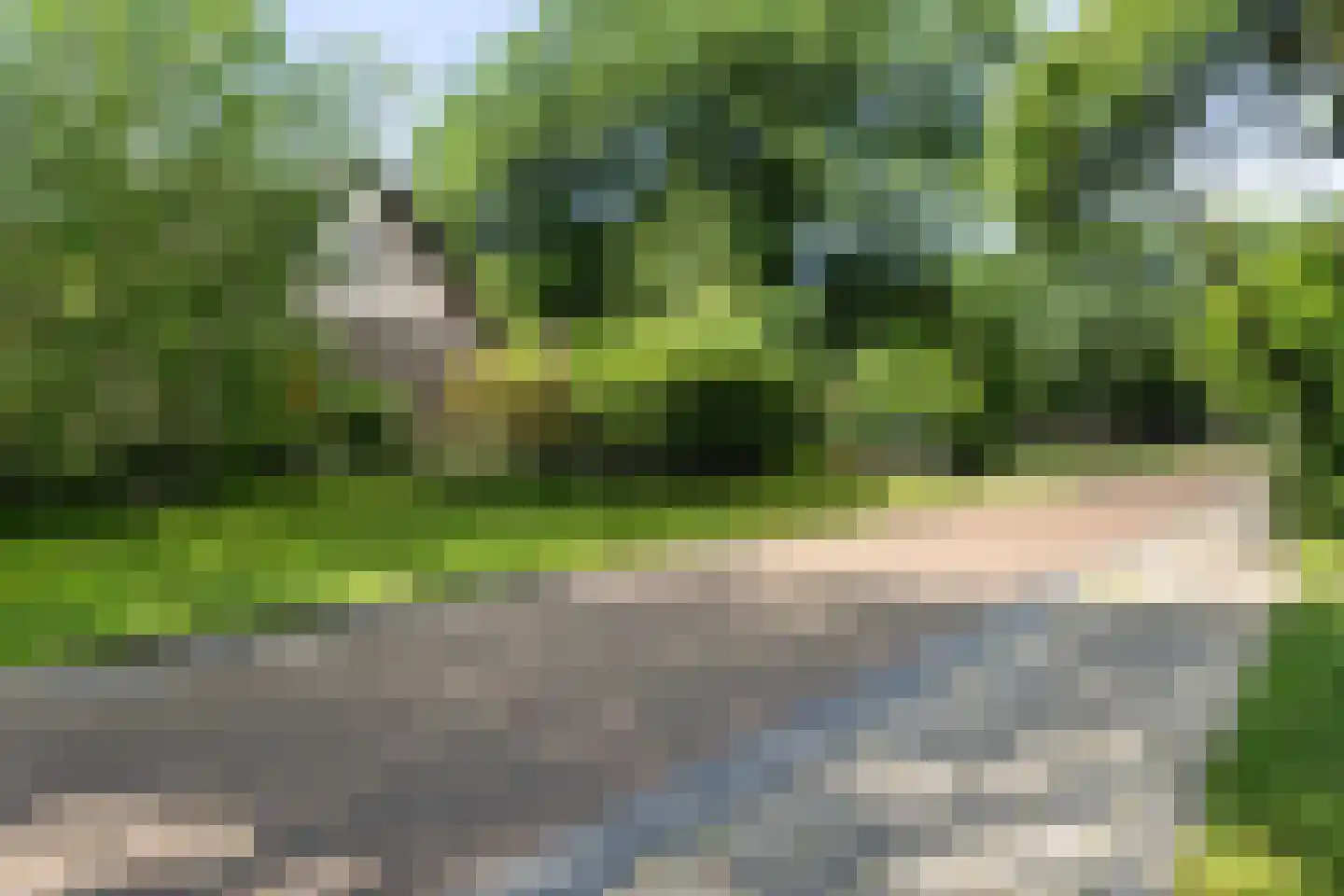 Oosterse Es 2 Appelscha thumbnail 58