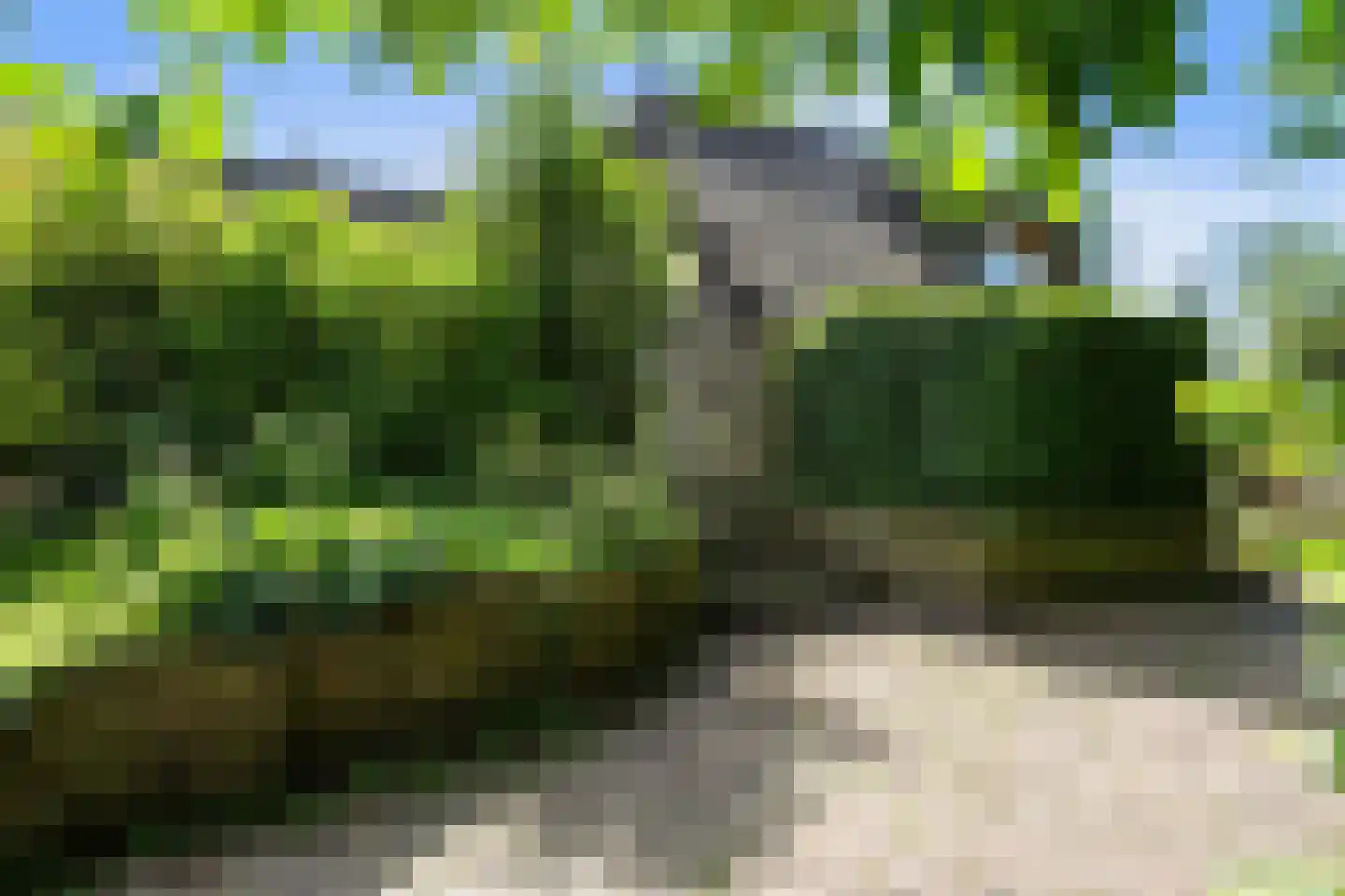 Oosterse Es 2 Appelscha thumbnail 6