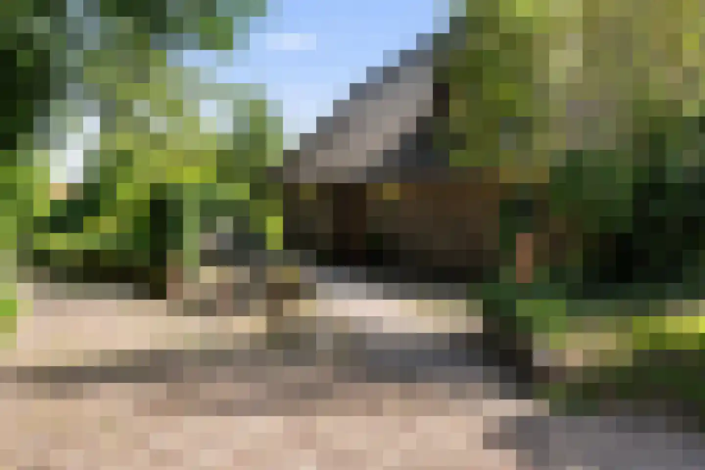 Oosterse Es 2 Appelscha thumbnail 7