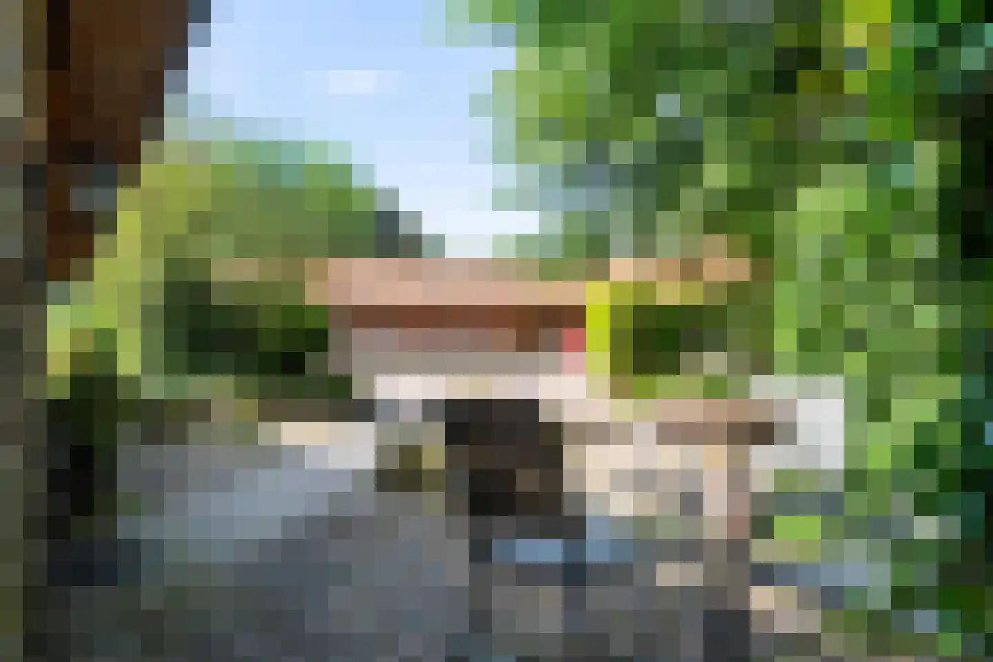 Oosterse Es 2 Appelscha thumbnail 8