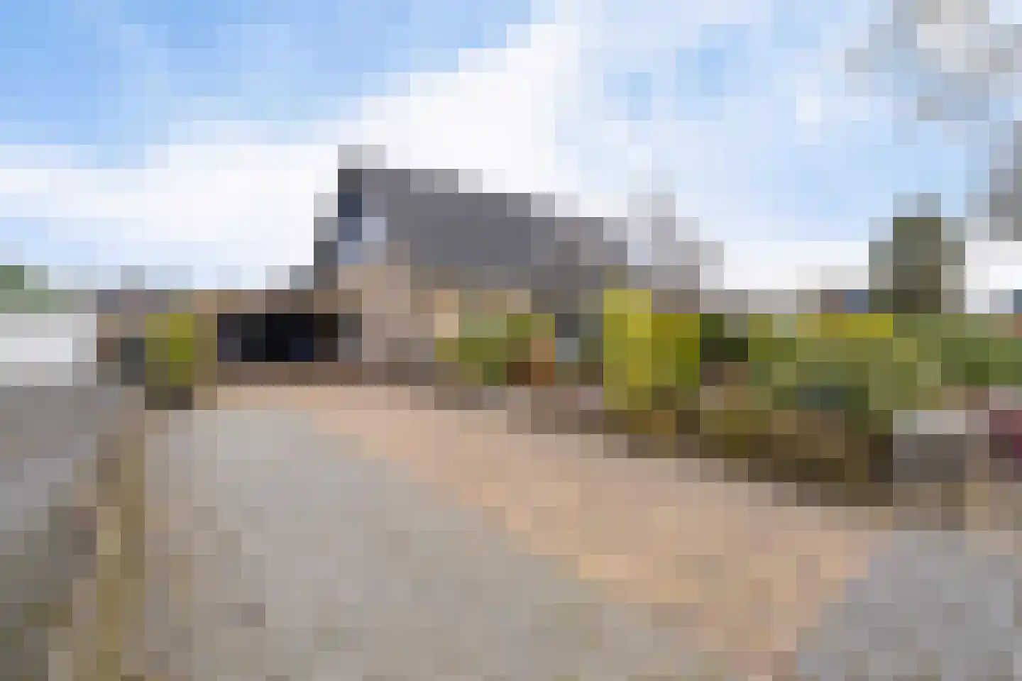 Oosterse Es 41 Appelscha