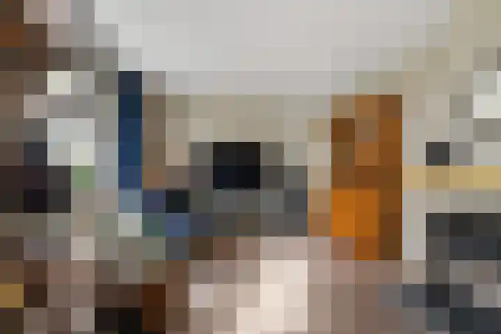 Oosterse Es 41 Appelscha thumbnail 11