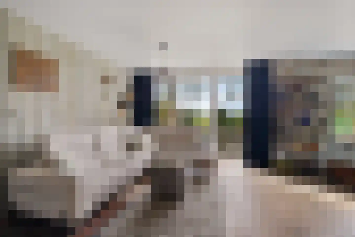 Oosterse Es 41 Appelscha thumbnail 15
