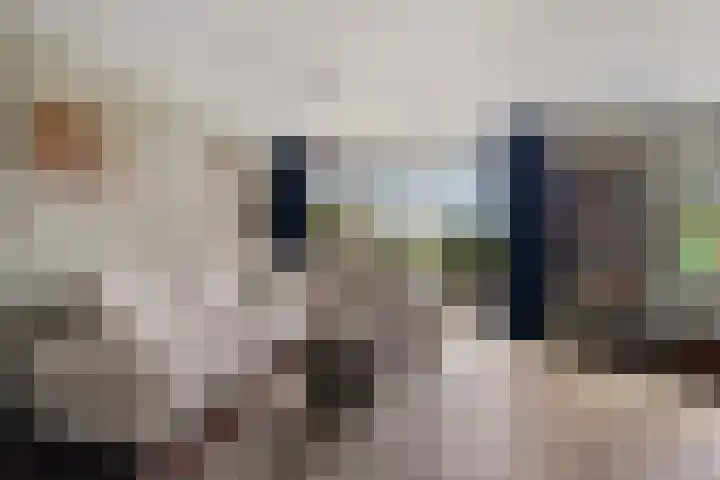Oosterse Es 41 Appelscha thumbnail 15