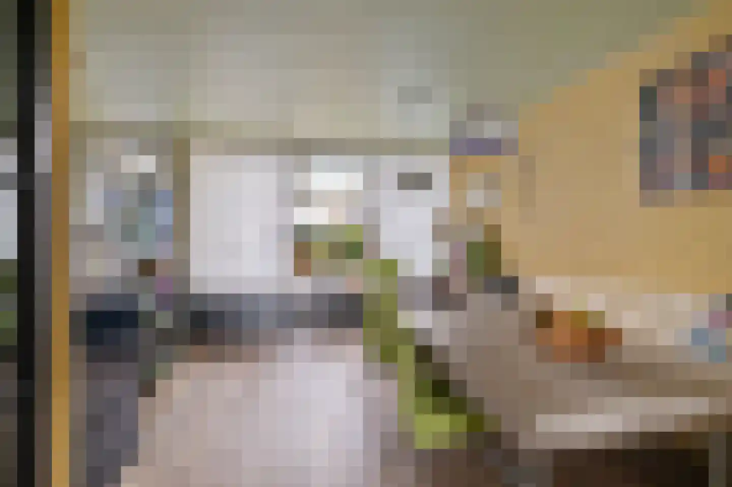 Oosterse Es 41 Appelscha thumbnail 16