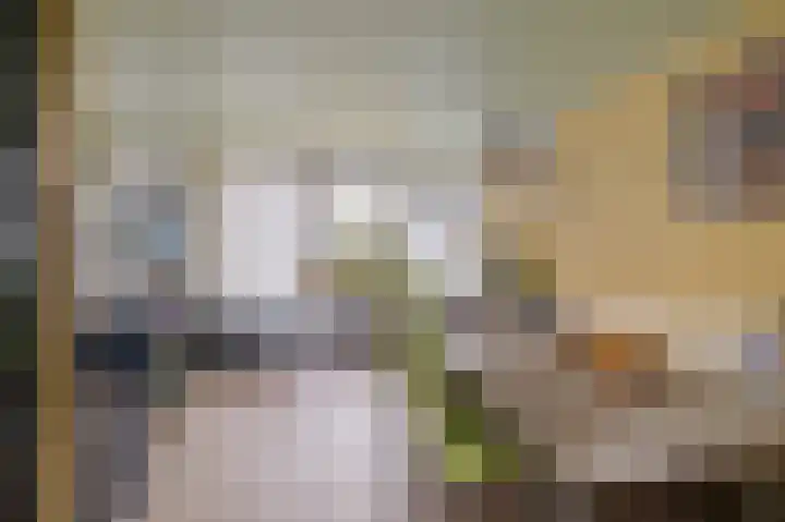 Oosterse Es 41 Appelscha thumbnail 16