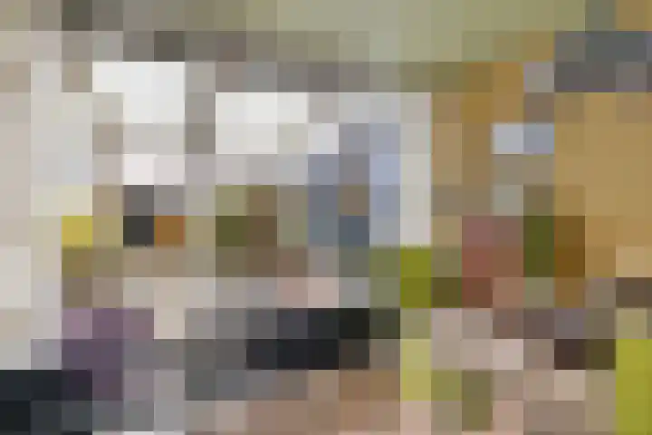 Oosterse Es 41 Appelscha thumbnail 17