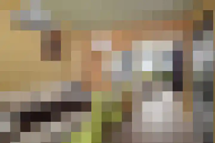 Oosterse Es 41 Appelscha thumbnail 18