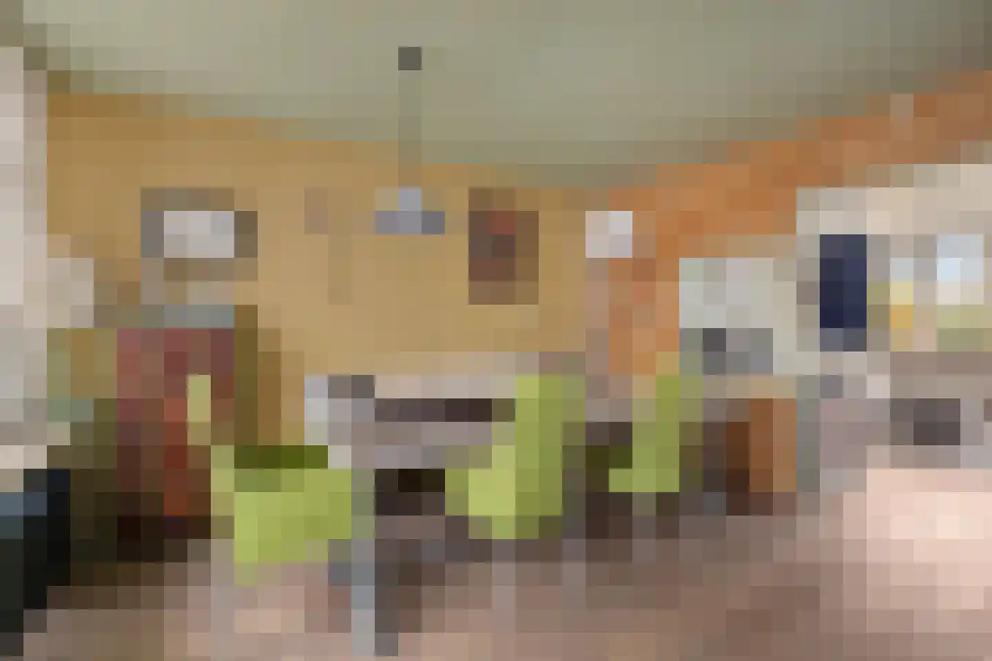 Oosterse Es 41 Appelscha thumbnail 19