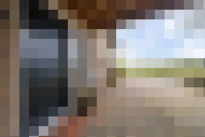 Oosterse Es 41 Appelscha foto 2