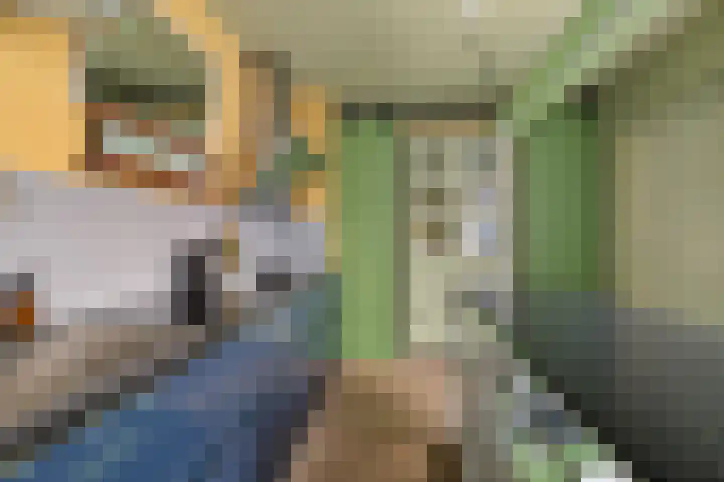 Oosterse Es 41 Appelscha thumbnail 20