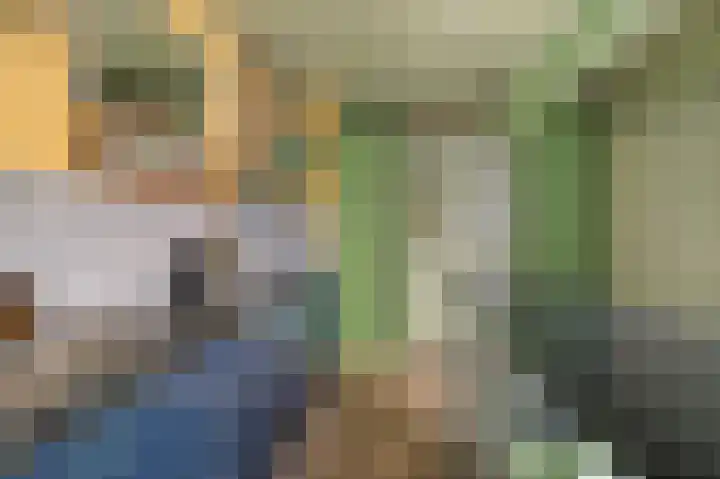 Oosterse Es 41 Appelscha thumbnail 20